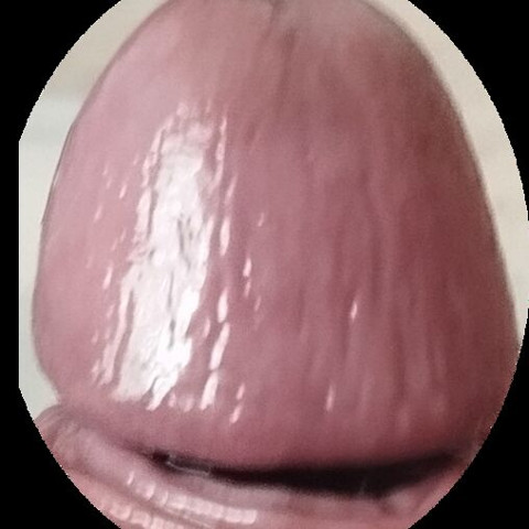 Faphouse