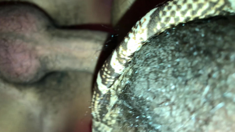 IanAlban: Dominando il twink cubano in perizoma leopardato: Senza pietà