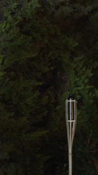 Sexy Video Culanta_makingof_65e4d44