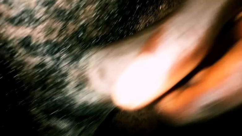 Judith xxx: Night Feeling