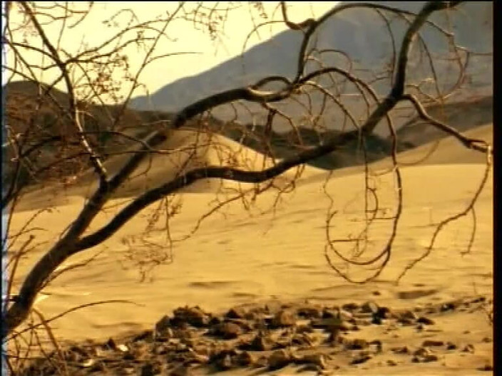 Real porno and movies XXX: Ateşli kadınlarla sıcak güneşin altında çölde bile sikişiyor