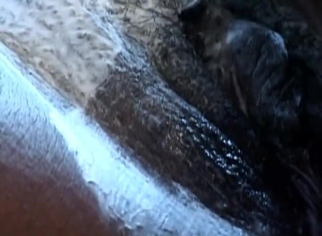 Black Jass: 丰满的婊子为他刮她的阴户