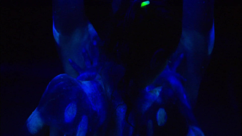 Tight little babes: Lesbische aliens machen es mit