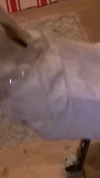 Fleshlight Stand Fuck and Hand Wank Masturbation