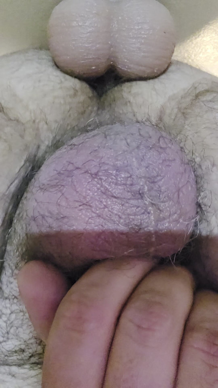 Beary Jax: Kdo dal to dildo na zeď?