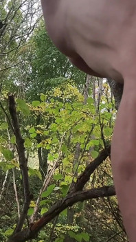 Anální zábava s větev stromu v lese