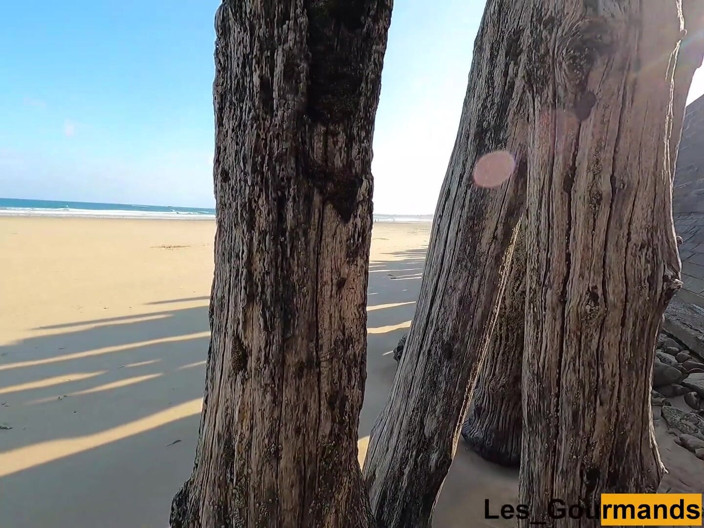 Les Gourmands: On the beach with my stepmom, I finger her pierced...