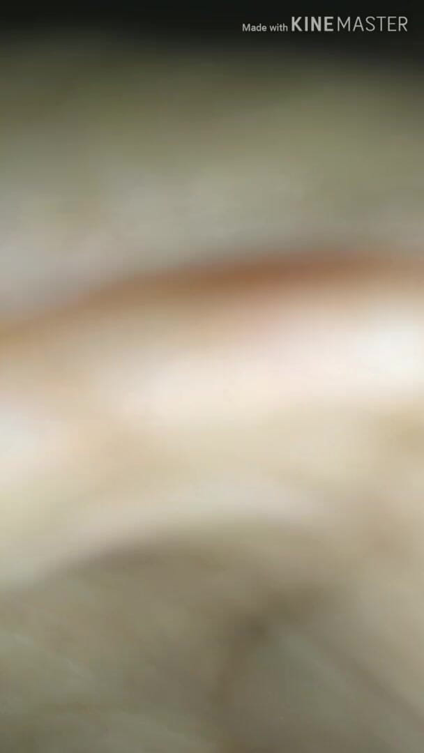 Traviezisha: Banci dalam panas mengongkek pantatnya dengan dildo di tepi jalan...