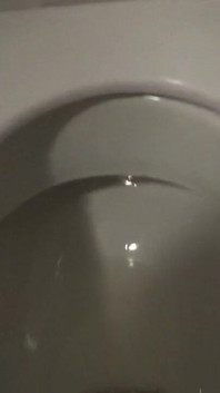De toiletbende