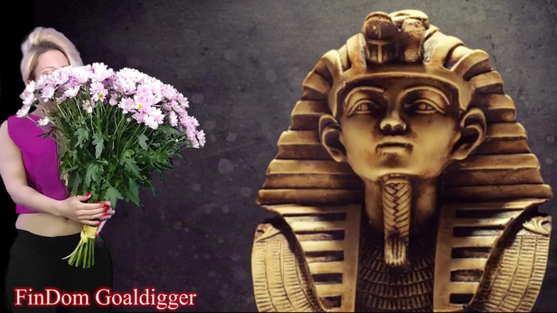 FinDom Goaldigger: Дозвіл VIP loserpaypig
