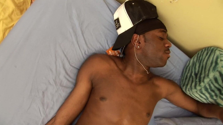 CocoDorm: Breion diamond + romeo st. james + sieben