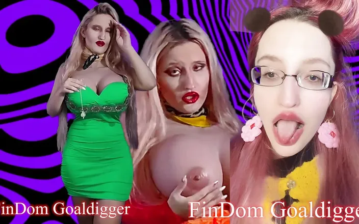 FinDom Goaldigger: The most dedicated fan transformation