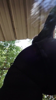 Big Ass with Dildo