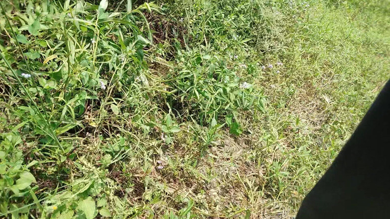 DesiDarkArt: Enquanto caminhava pelo campo, ele começou a socar alto