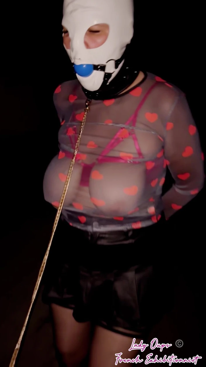 Lady Oups: On a Leash Like a Female Pet with Hood, Gag,...