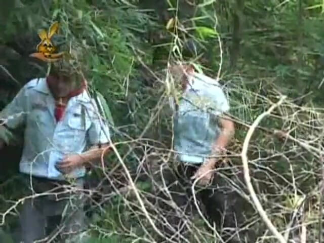 Just Boys: Camping Fun - Dvd