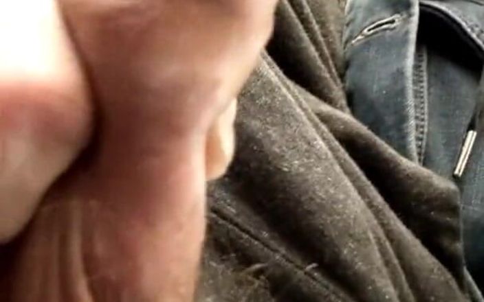 Sexy possum: Sacudidas en el Amtrak