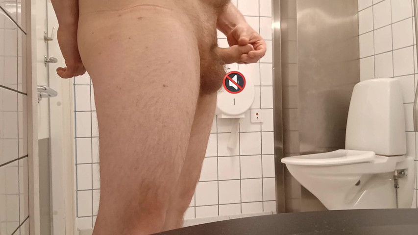 Public Toilets 2025 (Ed Eden) Public Toilets 2025 (Ed Eden)