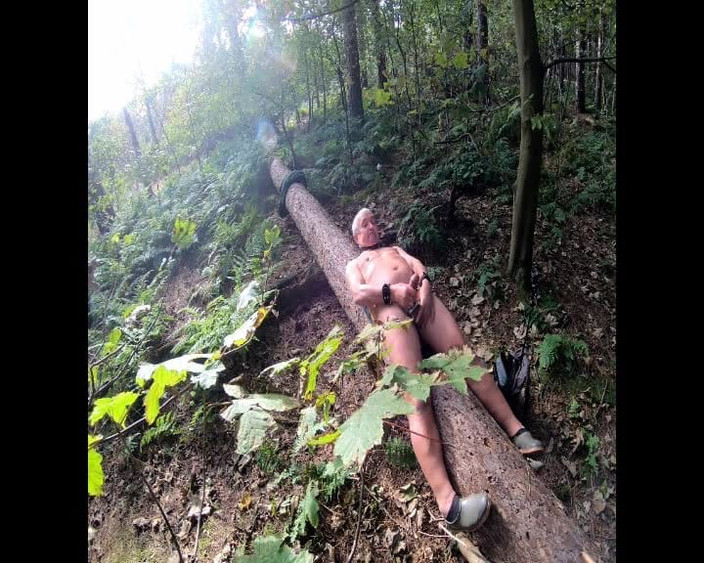 Andy: Wank on a Log