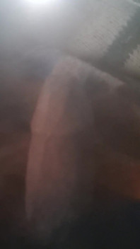 Dick Lovers