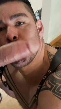 Delicius Cock