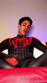 Fantasia e poses do Homem-Aranha