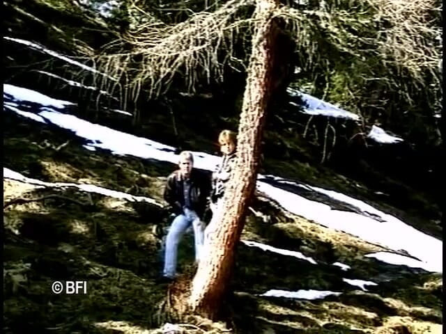 Hardcore Lovers: Alpenfick.