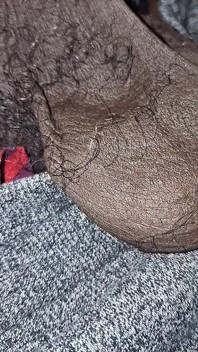 Big Chocolate Meat