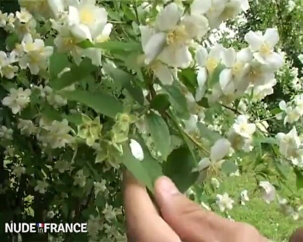 La France a Poil: गांड के कलाकार के लिए पसंद की मॉडल!