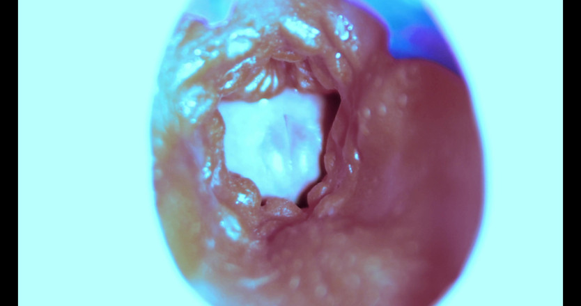 SEXY_GUYBEST: Como eu fodo de dentro! Câmera dentro!