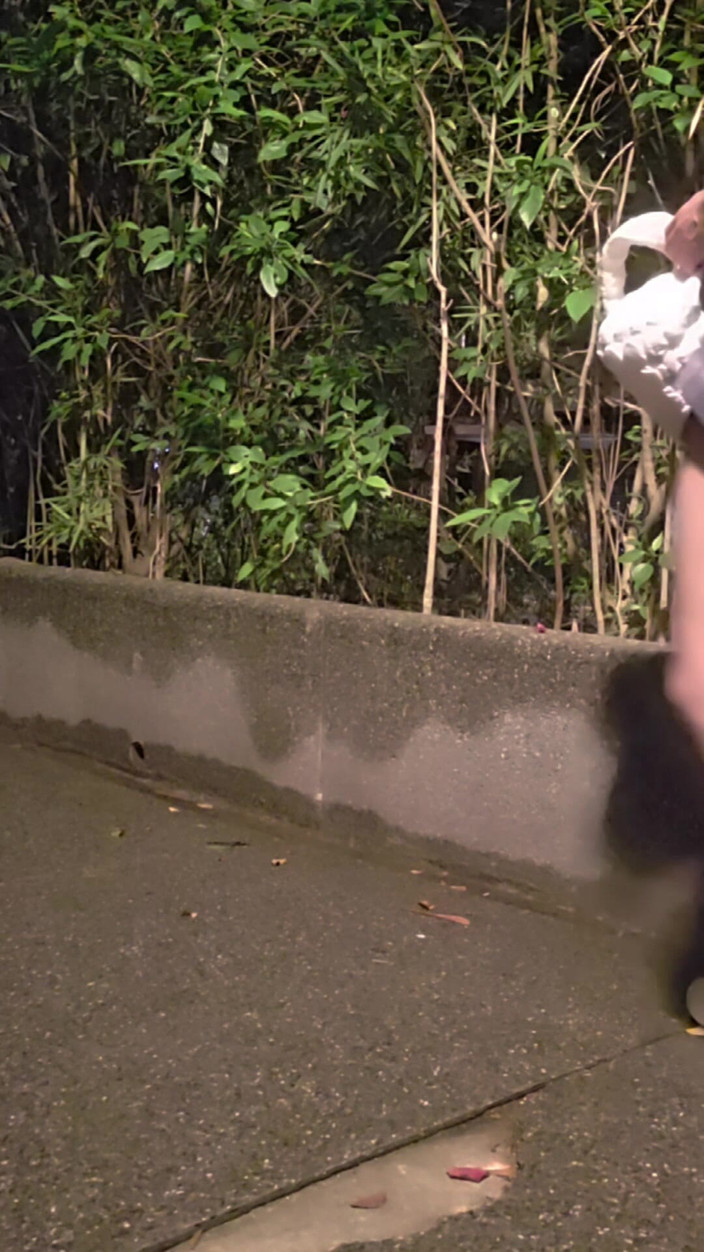 Taiwancdgirl: Den pseudo-flickan Tingxuan gick ut med kyskhetslås och använde en...