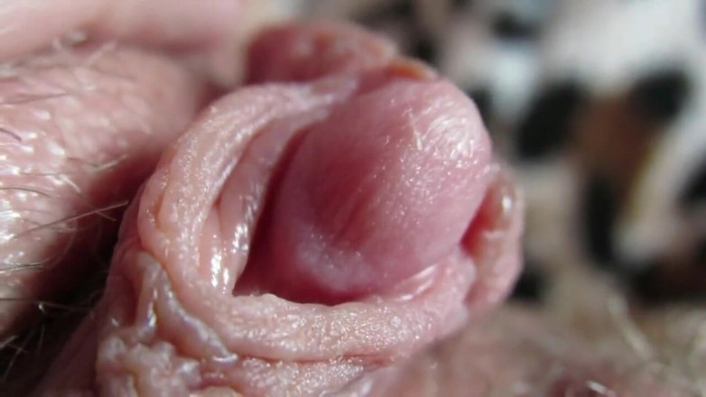 Cuteblonde666: Grote clitoris compilatie 2