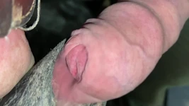 Close up Uncut Handsfree Cumshot After Hose Suction