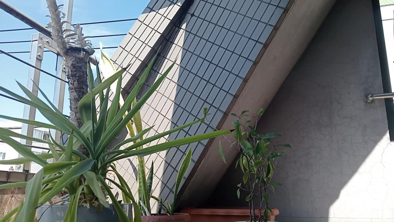 Mayumi Kanzaki: Uriner Dans Une Plante En Pot