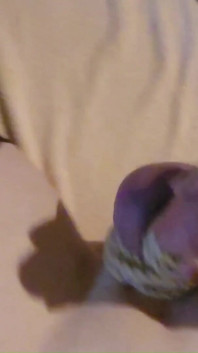 Hard Tied Cock and Balls