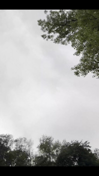 J’adore la nature sous la pluie !