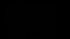 FM Video VOD: 토레로 일 마타큘리