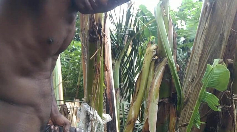 Bangcum8: Чоловік сам у лісі і зроби дерево подорожника - дружина і трахає його