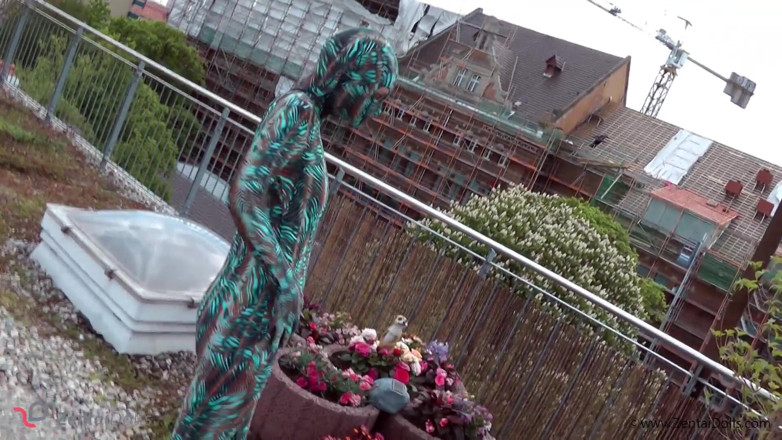 ZentaiDolls: Zentai dibungkus dengan bungkusan!