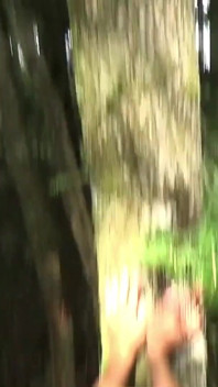 Jalang dubur di dalam hutan