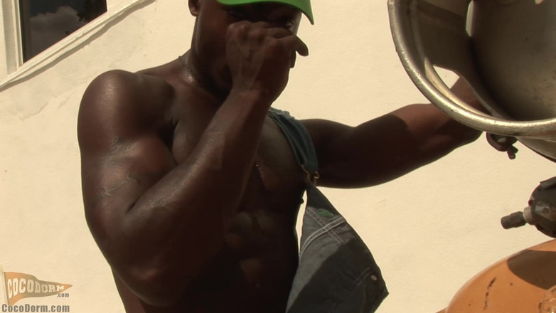 CocoDorm: Alex Flex 2