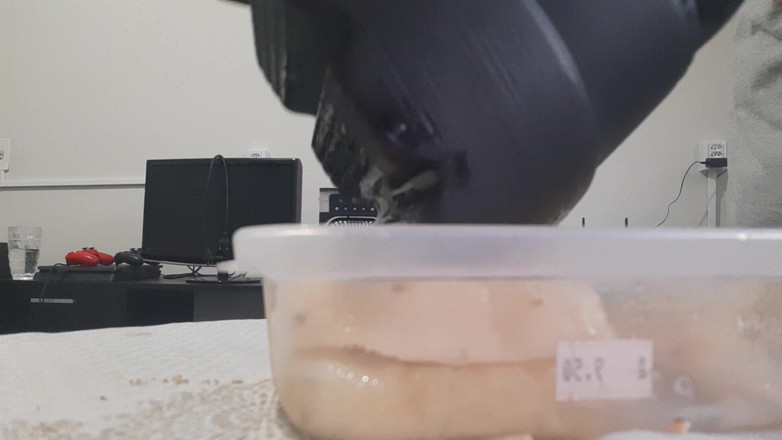 Bladexfeet: Ananas mit Stiefeln zerdrücken