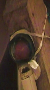 The Christmas Fleshlight Berdiri Kongkek melancap