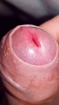 Une femboy excitée se masturbe une bite sexy
