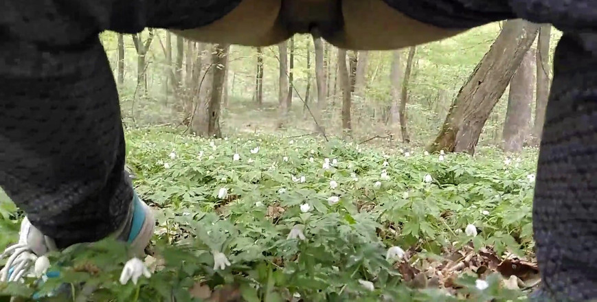 Erica Sweet: Močit. Kompilace