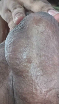 Village Boy Sex Video