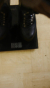 Weighing Your Black Fit Pony