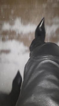 Pointy Boots in Snow