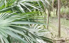 Đường đi bộ ngoài trời mạo hiểm xuất tinh trong bộ đồ bơi một mảnh