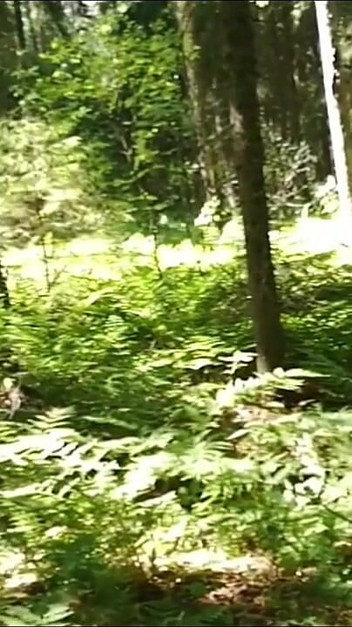 Cuhbby nudist masturbate